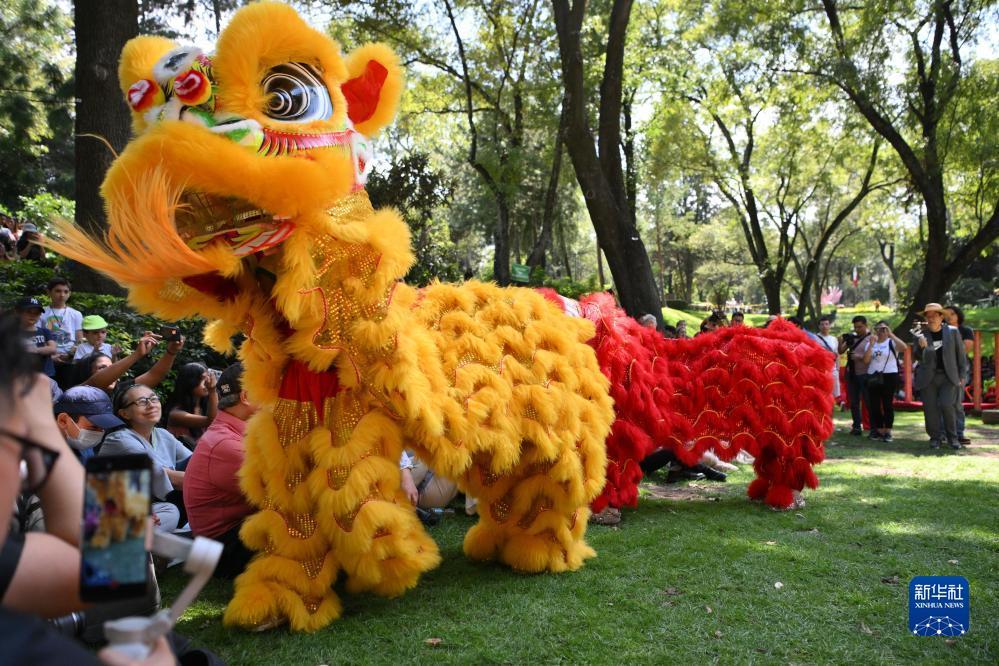 庄6点为什么还要补牌